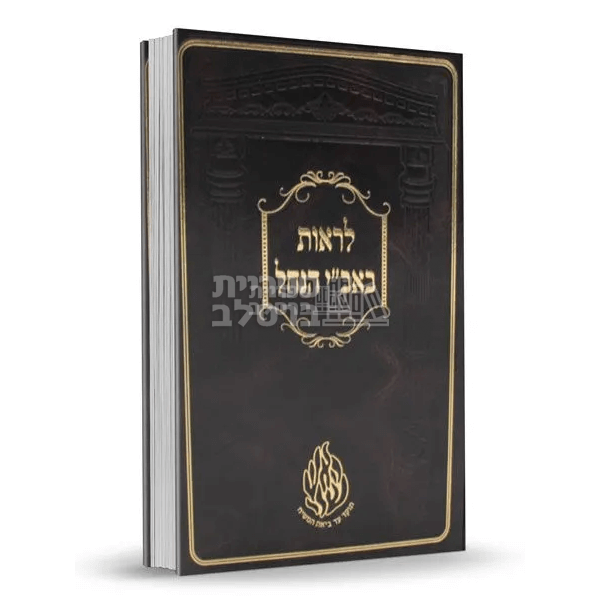 לראות באב"י הנחל - שיחות וסיפורים על ר' ישראל דב אודסר