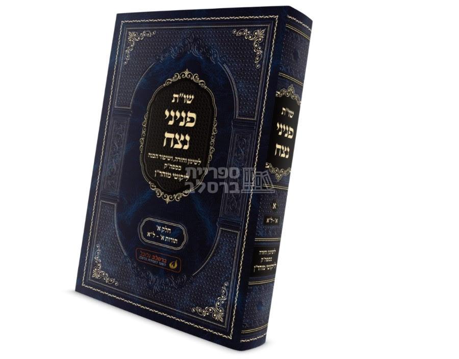 שו"ת פניני נצח - חלק א'